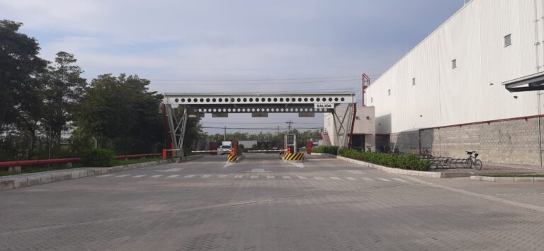 San Carlos 5