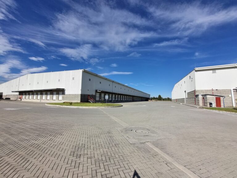San Carlos 5